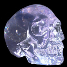 Crystal Clear Human Skull