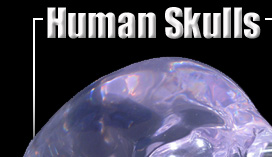 Human Crystal Clear Skull Life Size - Precise Replica